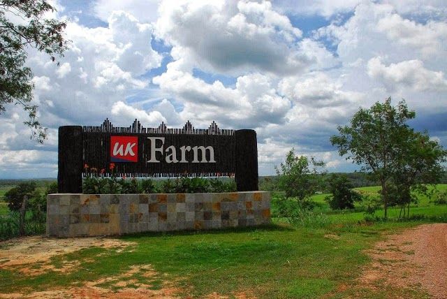 UK Farm